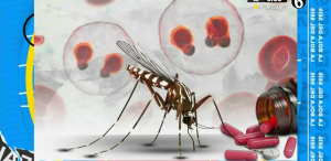 ¿Cómo un mosquito te pasa la Malaria?