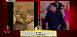 Es Show - 14 de julio del 2025