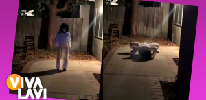 Robot causa terror tras ser modificado en halloween