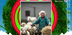 Las muertes más tontas de la historia