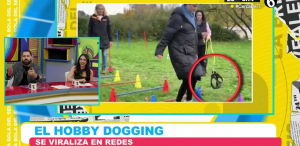 ¿Qué es el Hobby Dogging? La tendencia de pasear una correa sin perro