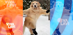 Conductores recrean video viral con IA