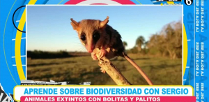 Estos animales desaparecieron en 2025