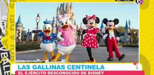 Las gallinas ¿el ejercito desconocido de Disney?