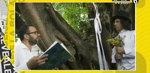 Richard Torres se casa con un árbol