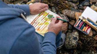 Libros ilustrados para todas las edades