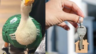 ¿Qué pasó con el Pato Merlín tras el Mundial 2026?