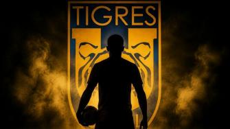 ¡Ya hay refuerzo! Tigres ficha a delantero de selección, ¿de quién se trata?