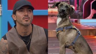 ¿Se cancela La Granja VIP? Denuncian a ‘Mono’ Osuna por maltrato animal