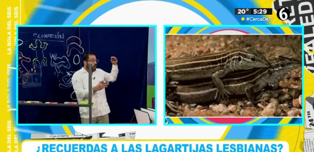 Casos sorprendentes sobre la reproducción animal