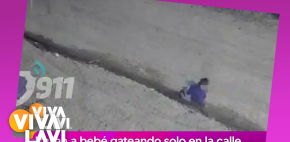 Bebé es encontrado gateando solo en la calle