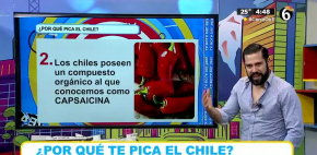 ¿Por qué pica el chile?