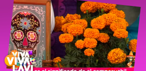 ¿Cuál es el significado de la flor de cempasúchil el 'Día de Muertos'?