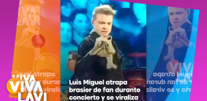 Fan lanza 'brasier' a Luis Miguel durante concierto