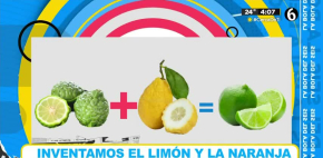 El limón y la naranja no son creaciones naturales