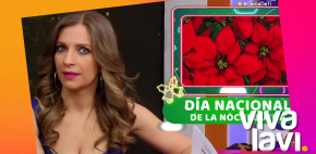 6 de diciembre: Día nacional de la 'nochebuena'