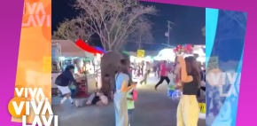 Elefante se asusta con fuegos artificiales y causa desastre