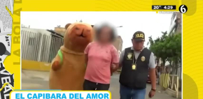 'El capibara del amor' captura a traficante