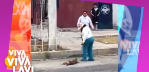 Captan a mujer maltratando a perrito