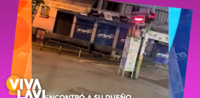 Perro encuentra a su dueño dormido en la calle y así reacciona