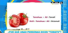 ¿Tomate o jitomate? conoce la respuesta correcta