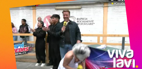 La Maestra Resurrección es atacada por abejas
