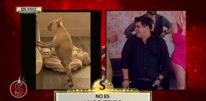 Es Show - 14 de julio del 2025