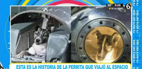 Laika: la historia de la perrita que viajó al espacio