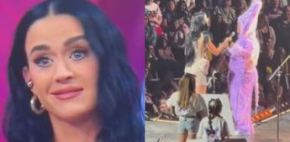 Mexicano se disculpa con Katy Perry tras asistir a 'VLA'