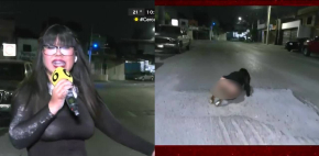 Robertita sufre sensual accidente con bache