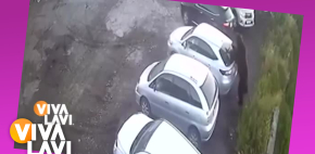 Oso sorprende a hombres en estacionamiento