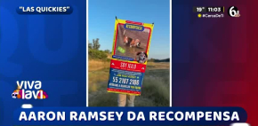 Aarón Ramsey ofrece recompensa por su perrita