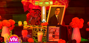 Luz, aroma y memoria: 'Vivalavi' celebra a los fieles difuntos