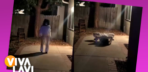 Robot causa terror tras ser modificado en halloween