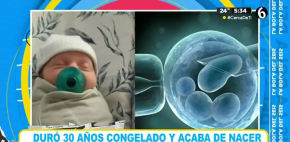 Duró 30 años congelado ¿y acaba de nacer?