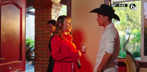 Cuando los ángeles caen - 25 de Noviembre del 2025