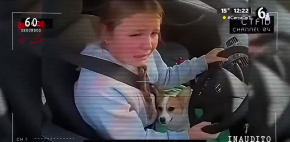 Menor maneja auto sin permiso para salvar a su perro