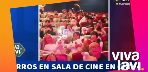 Perros en China tienen su propio cine