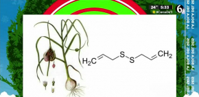 Esto tiene la cebolla que no deja de oler