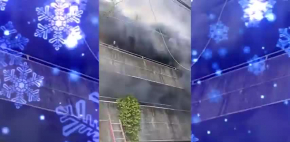 Mujer arriesga su vida por salvar a sus perros durante incendio