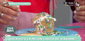 Elenco de Vivalavi Mx decora su casa de jengibre