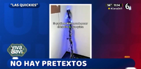 Familia decora escoba como 'pino' de navidad