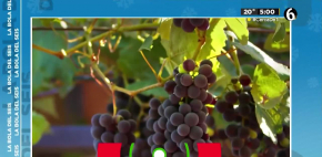 Significado de las 12 uvas de año nuevo