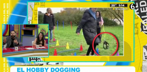 ¿Qué es el Hobby Dogging? La tendencia de pasear una correa sin perro