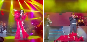 Ana Barbara sufre caída en pleno concierto