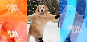 Conductores recrean video viral con IA