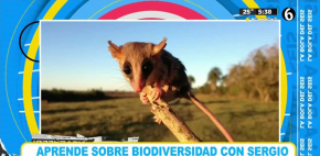 Estos animales desaparecieron en 2025