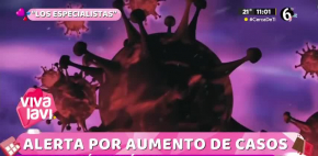 Todo lo que debes saber sobre el Sarampión