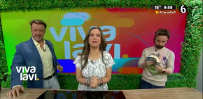 Vivalavi Mx - 16 de febrero del 2026