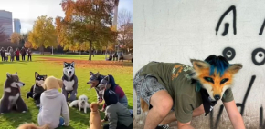 Therian: ¿Qué son y por qué son virales?